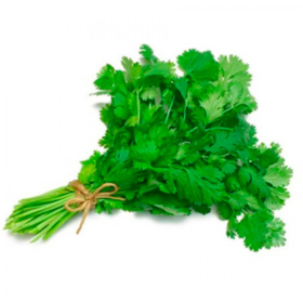CILANTRO PEQ*und