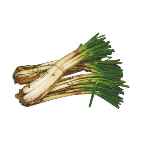 CEBOLLA LARGA  sin lavar