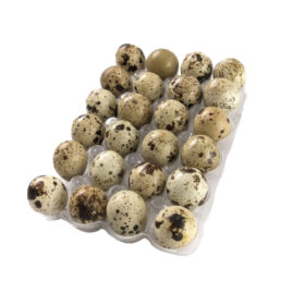 HUEVO CODORNIZ X 24