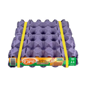 HUEVO ORO CAMP AA X 30