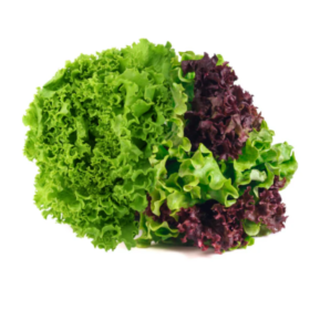 LECHUGA MIX